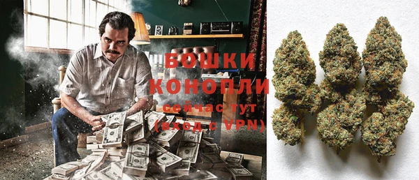 PSILOCYBIN Алзамай