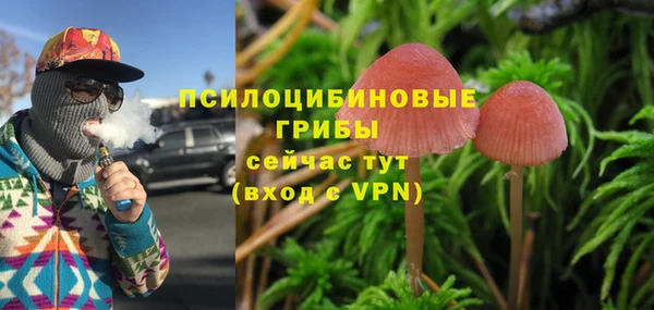 PSILOCYBIN Алзамай