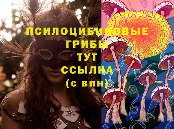 амф Сосновоборск
