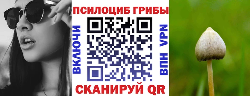 магазин    Ейск  Псилоцибиновые грибы Cubensis 