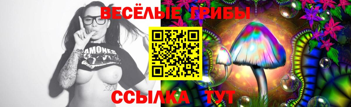 Галлюциногенные грибы MAGIC MUSHROOMS  Псилоцибиновые грибы Psilocybe  Вход с VPN  Ейск 