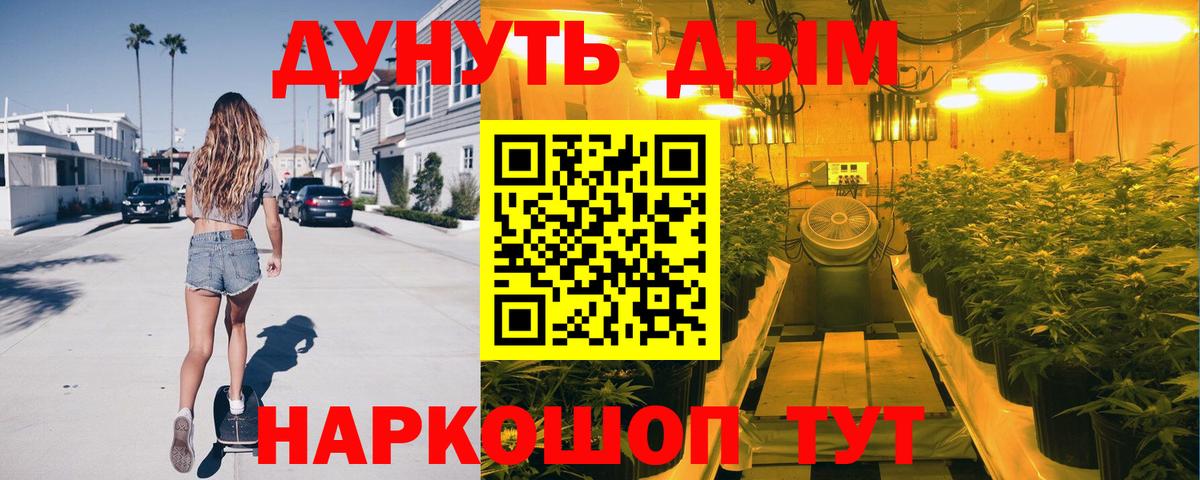 Конопля гибрид Ейск